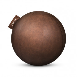 Active ball - Stryve